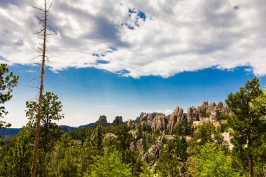Yazın Needles Otoyolu 'ndan Custer Eyalet Parkı, Güney Dakota