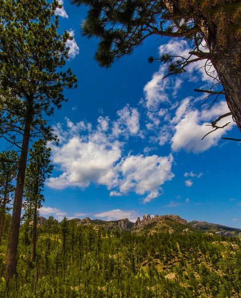 Blick Vom Needles Highway Sommer Custer State Park South Dakota — Stockfoto