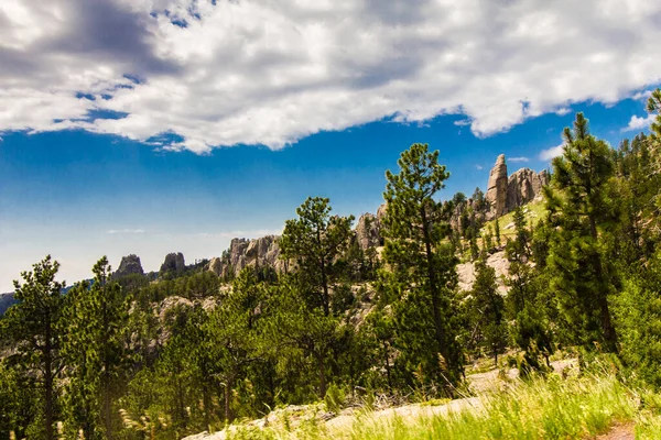 Blick Vom Needles Highway Sommer Custer State Park South Dakota — Stockfoto