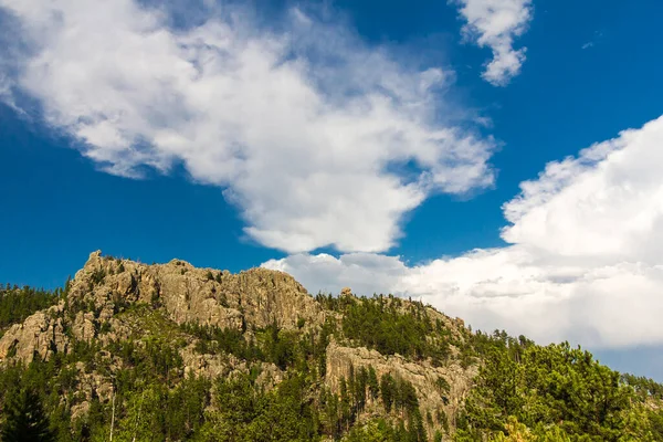 View Needles Highway Summer South Dakota — ストック写真