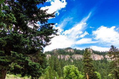 Güney Dakota 'da yazın Spearfish Kanyonu manzarası
