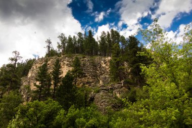 View of Spearfish Canyon in Summer, South Dakota