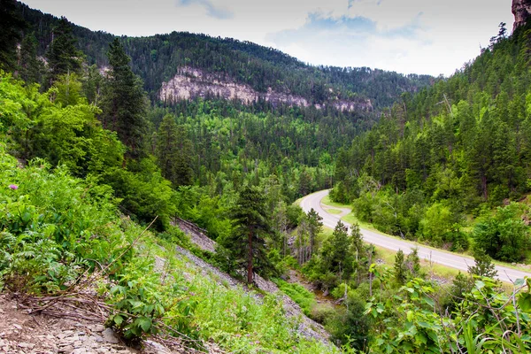 Spearfish Canyon Summer South Dakota — 图库照片