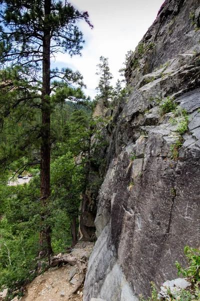 Spearfish Canyon Summer South Dakota — Foto Stock