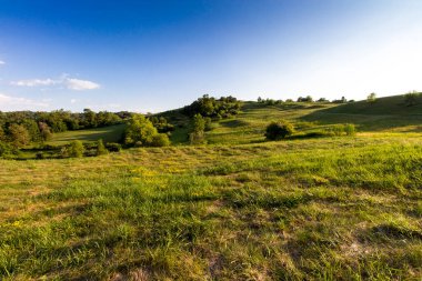 Yazın erken saatlerinde Ohio 'da kırsal bir arazinin manzarası
