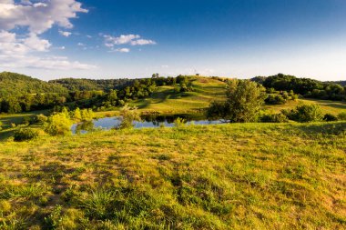 View of a Field in a rural landscape in an early summer evening, Ohio