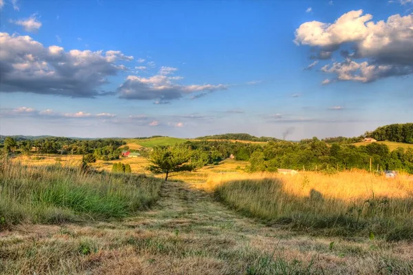 Widok Pole Wiejskim Krajobrazie Wczesnym Letnim Wieczorem Ohio — Zdjęcie stockowe