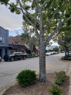 Views of Downtown Clermont, Florida in Summer