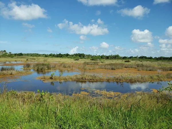 Black Point Wildlife Drive Merritt Island National Wildlife Refuge Florida — Stockfoto