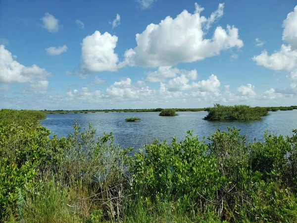 Black Point Wildlife Drive Merritt Island National Wildlife Refuge Florida — 图库照片