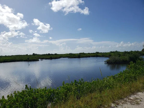 Black Point Wildlife Drive Merfeld Island National Wildlife Refuge Флорида — стоковое фото