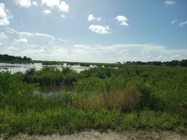 Black Point Wildlife Drive Merritt Island National Wildlife Refuge Florida — Stock Photo, Image
