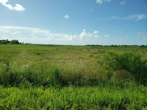 Black Point Wildlife Drive Merritt Island National Wildlife Refuge Florida — 图库照片