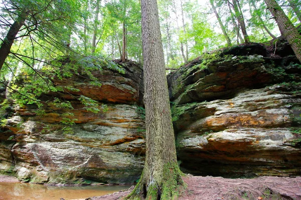 Old Man Cave Summer Hocking Hills State Park Ohio — стоковое фото