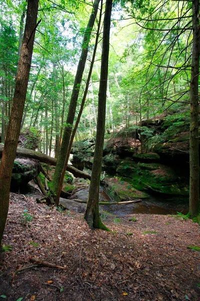 Old Man Cave Summer Hocking Hills State Park Ohio — Fotografia de Stock