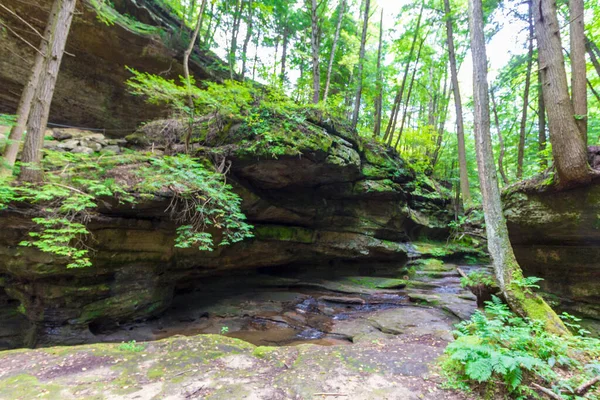 Old Man Cave Summer Hocking Hills State Park Ohio — Stockfoto
