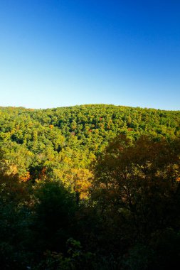 Mohican Gorge Overlook, Mohican Eyalet Parkı, Ohio