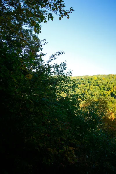 Mohican Gorge Overlook Mohican State Park Ohio — 스톡 사진