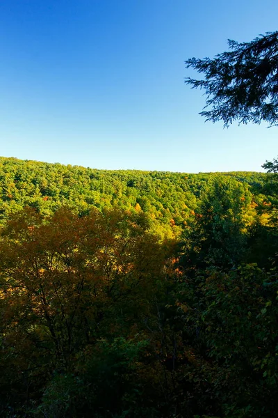 Vue Sur Les Gorges Mohican Mohican State Park Ohio — Photo