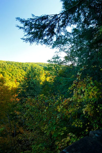 Vista Del Desfiladero Mohican Parque Estatal Mohican Ohio —  Fotos de Stock