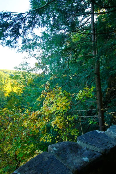 Vue Sur Les Gorges Mohican Mohican State Park Ohio — Photo