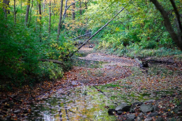 Inniswood Metro Gardens Westerville Ohio — Stock Photo, Image