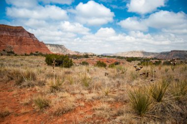 Palo Duro Eyalet Parkı, Teksas