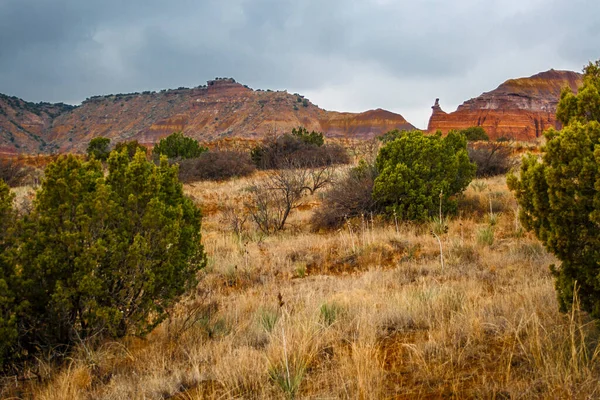 Palo Duro Eyalet Parkı Teksas — Stok fotoğraf