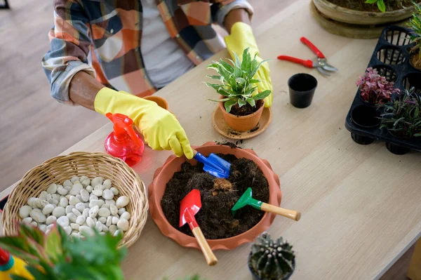 Pria Senior Menanam Dengan Alat Berkebun Lantai Kayu Konsep Hobi — Stok Foto