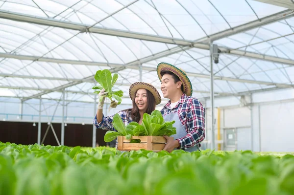 Pasangan Petani Muda Yang Bekerja Pertanian Rumah Kaca Hidroponik Makanan — Stok Foto