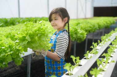 Hidroponik sera çiftliği, eğitim ve bilim adamı konseptinde öğrenim gören mutlu tatlı bir kız.