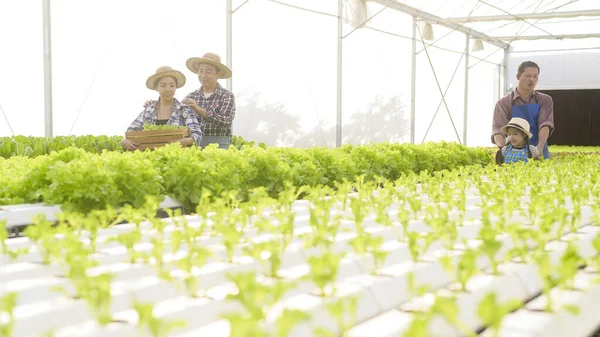 Šťastná Zemědělská Rodina Pracující Hydroponické Skleníkové Farmě Čisté Jídlo Zdravá — Stock fotografie