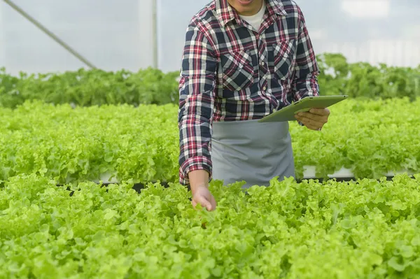 Ein Glücklicher Männlicher Bauer Arbeitet Mit Tabletten Einer Hydroponischen Gewächshausfarm — Stockfoto