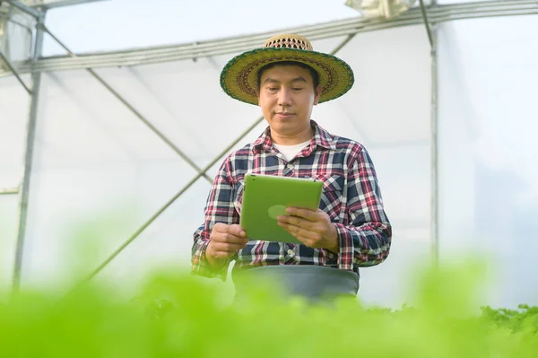 Šťastný Farmář Pracující Tabletou Hydroponické Skleníkové Farmě Čisté Jídlo Zdravá — Stock fotografie