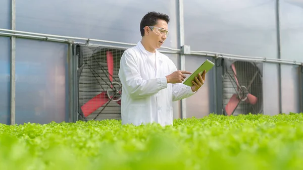Científico Trabajando Granja Hidropónica Invernadero Alimentos Limpios Concepto Ciencia Alimentaria — Foto de Stock
