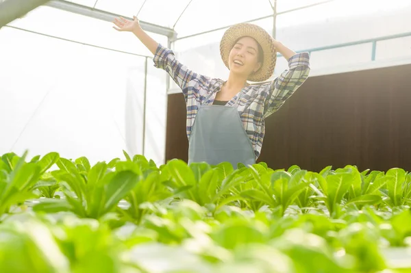 Eine Junge Bäuerin Die Einer Hydroponischen Gewächshausfarm Arbeitet Sauberes Essen — Stockfoto