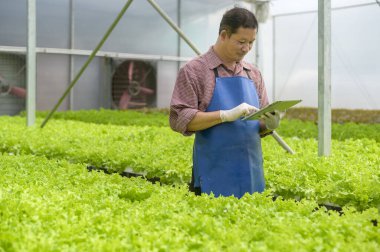 Hidroponik sera çiftliğinde tablet, temiz gıda ve sağlıklı beslenme konsepti kullanan mutlu bir çiftçi.