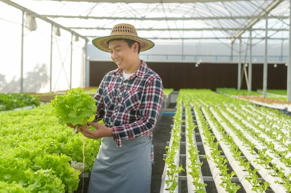 Šťastný Farmář Pracující Hydroponické Skleníkové Farmě Čisté Jídlo Zdravá Výživa — Stock fotografie