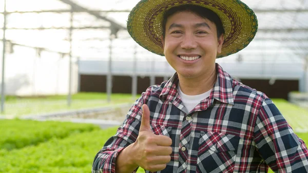 Šťastný Farmář Pracující Hydroponické Skleníkové Farmě Čisté Jídlo Zdravá Výživa — Stock fotografie
