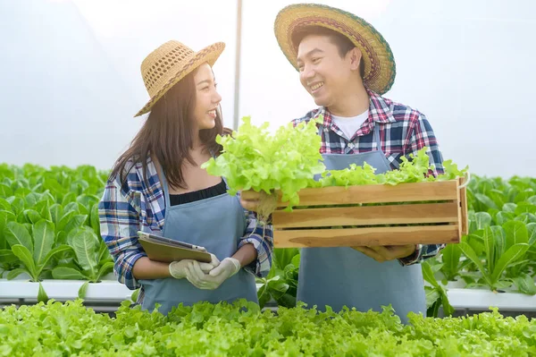 재배용 온실에서 일하고 건강에 — 스톡 사진