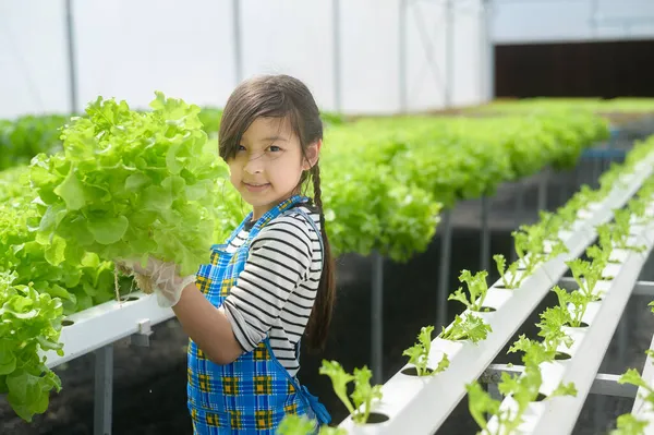 一个快乐可爱的在水栽温室农场学习和学习的女孩 教育和科学家概念 — 图库照片