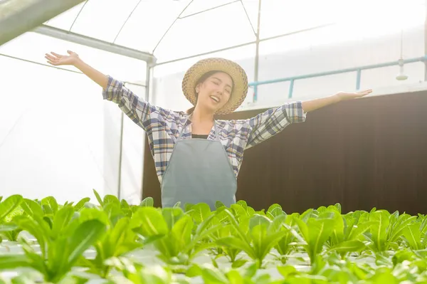 一名在水栽温室农场 清洁食品和健康饮食概念中工作的年轻女农民 — 图库照片