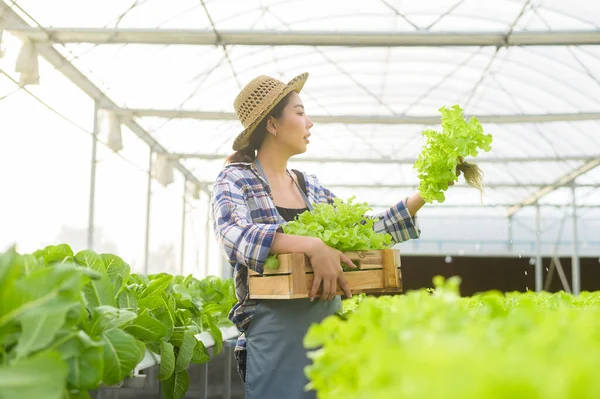 Mladá Zemědělkyně Pracující Hydroponické Skleníkové Farmě Čisté Jídlo Zdravá Výživa — Stock fotografie