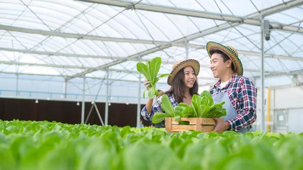 Pasangan Petani Muda Yang Bekerja Pertanian Rumah Kaca Hidroponik Makanan — Stok Foto