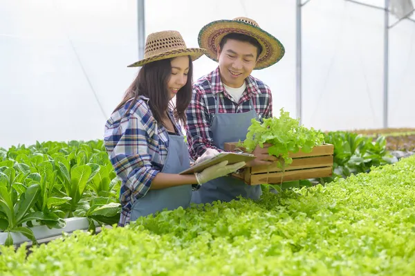 Young Farmer Couple Working Hydroponic Greenhouse Farm Clean Food Healthy — Stock Photo, Image