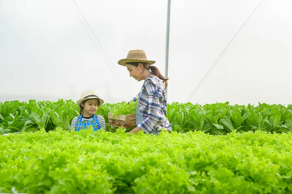 在水栽温室农场 清洁食品和健康饮食概念中工作的快乐农民母亲和女儿 — 图库照片