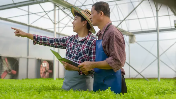 Щасливі Фермери Працюють Використанням Таблеток Гідропонічній Тепличній Фермі Чистій Їжі — стокове фото
