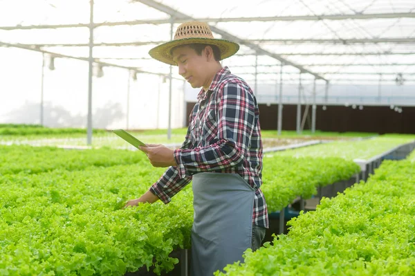 一个快乐的男性农民在水栽温室农场使用石碑 清洁食物和健康饮食的概念 — 图库照片