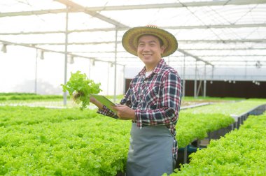 Hidroponik sera çiftliğinde tablet kullanan mutlu bir erkek çiftçi, temiz yiyecekler ve sağlıklı beslenme kavramı