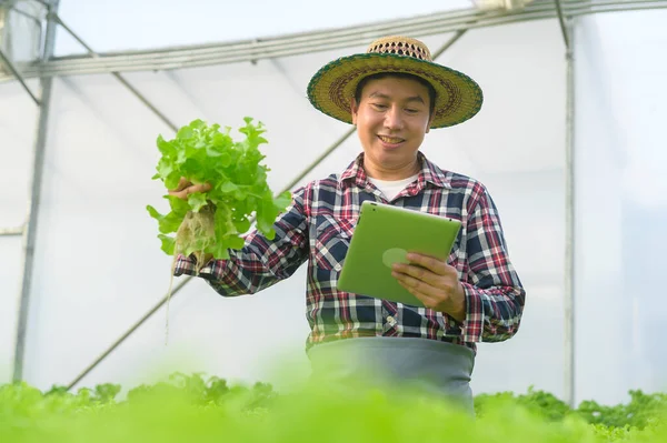 Happy Male Farmer Working Using Tablet Hydroponic Greenhouse Farm Clean — Stock Photo, Image